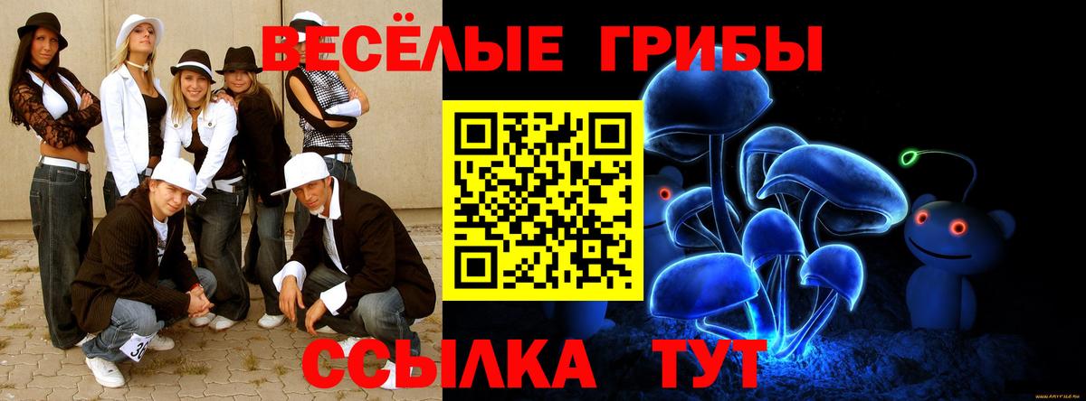 Калининград  Псилоцибиновые грибы GOLDEN TEACHER  Вход с VPN 